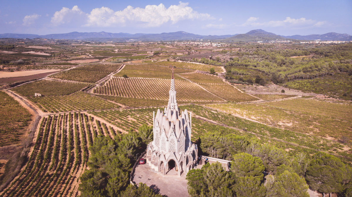 DO Tarragona
