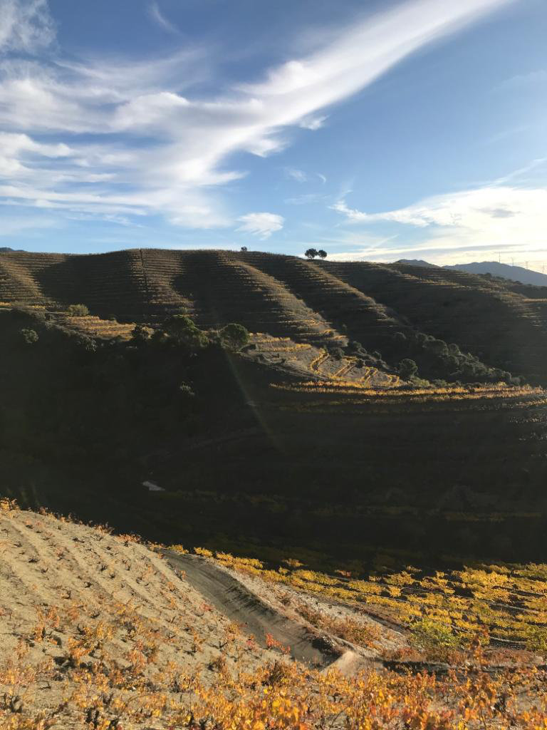 DOQ PRIORAT