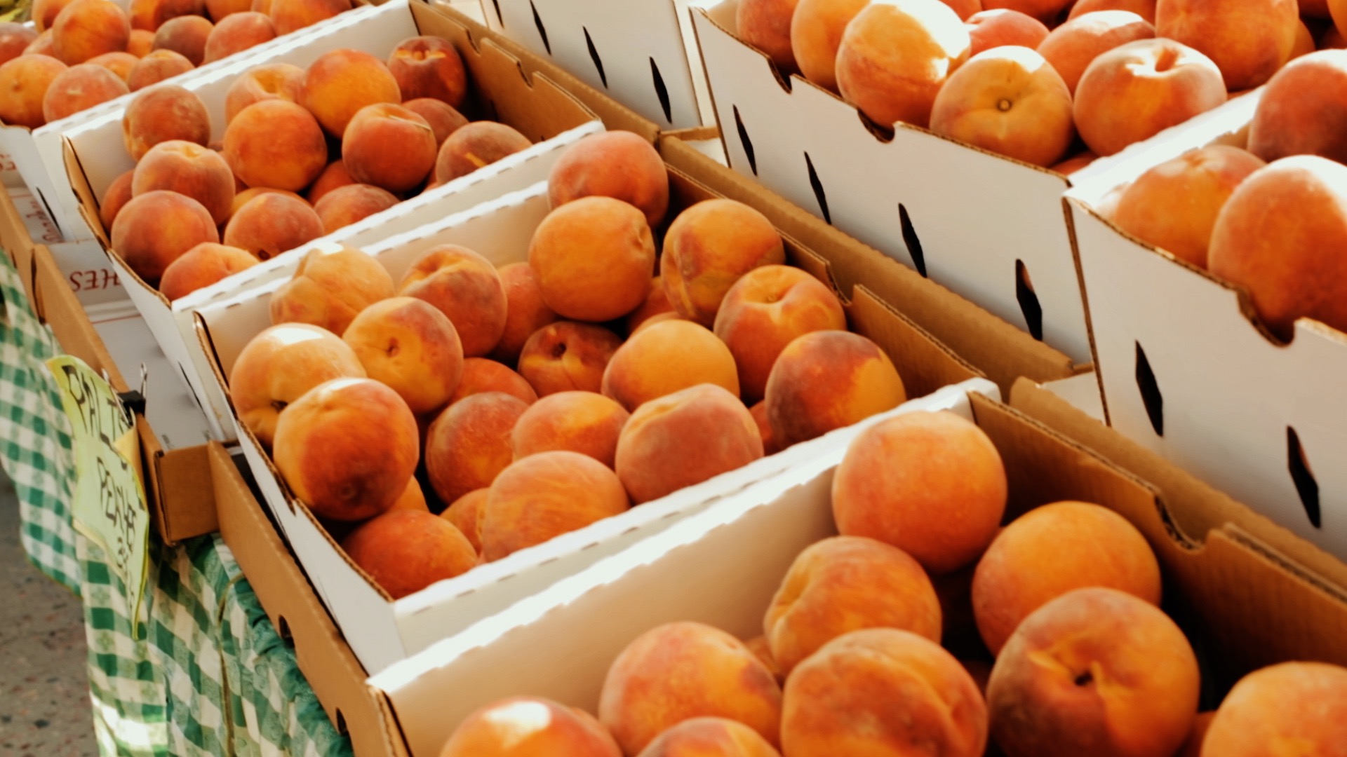 Comerç exterior i tendències dels productes ecològics 