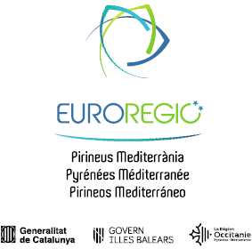 Euroregio logotip