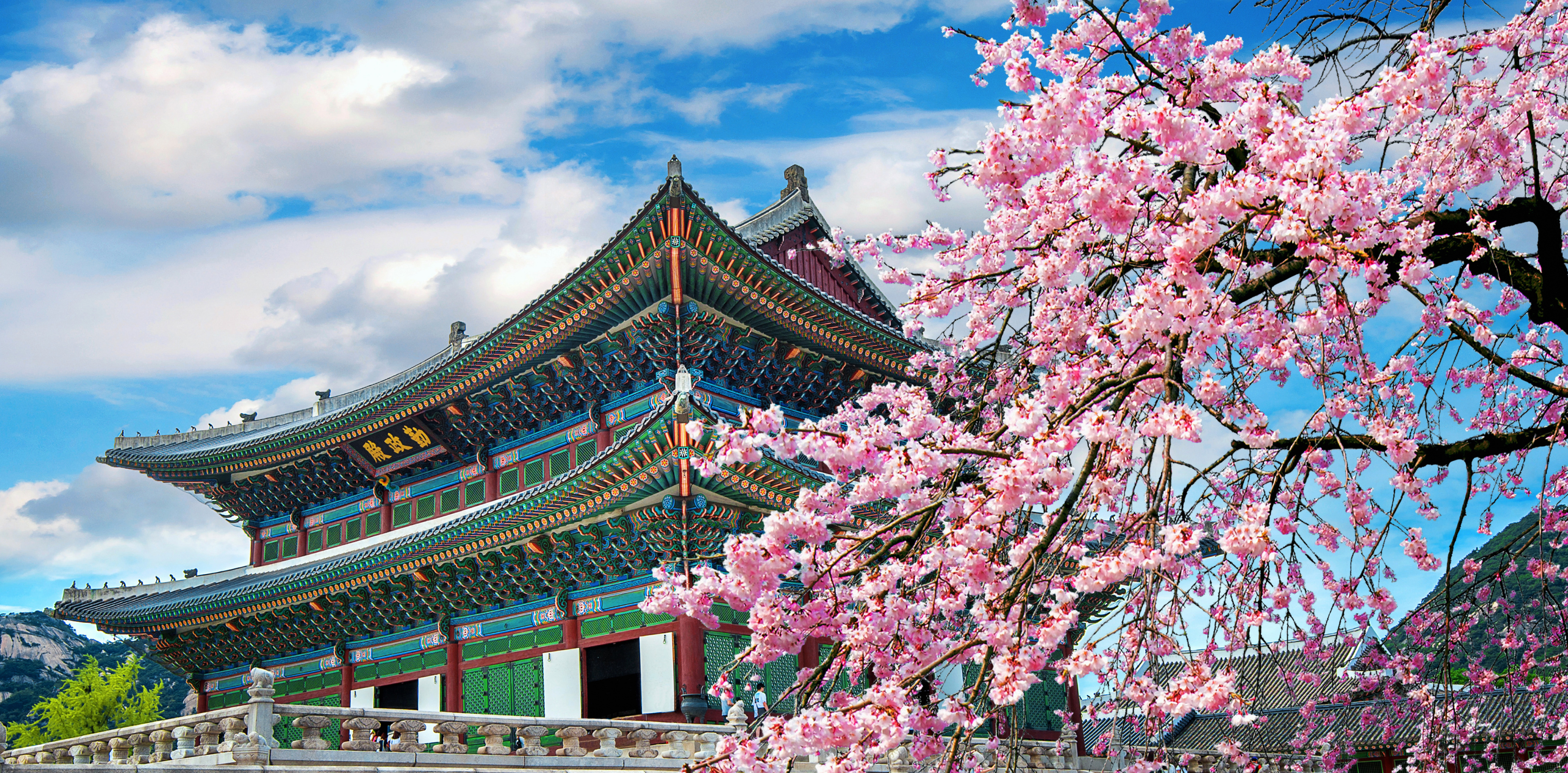ebusiness korea