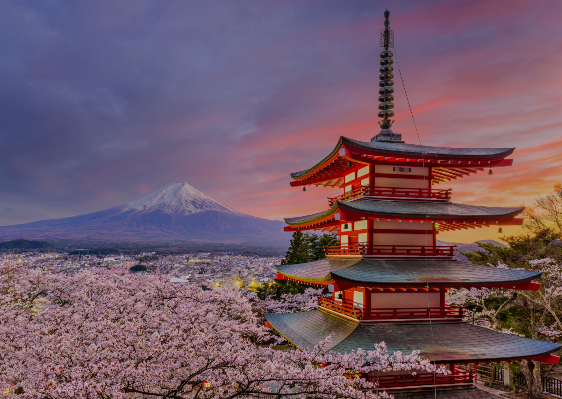 ebusiness japan