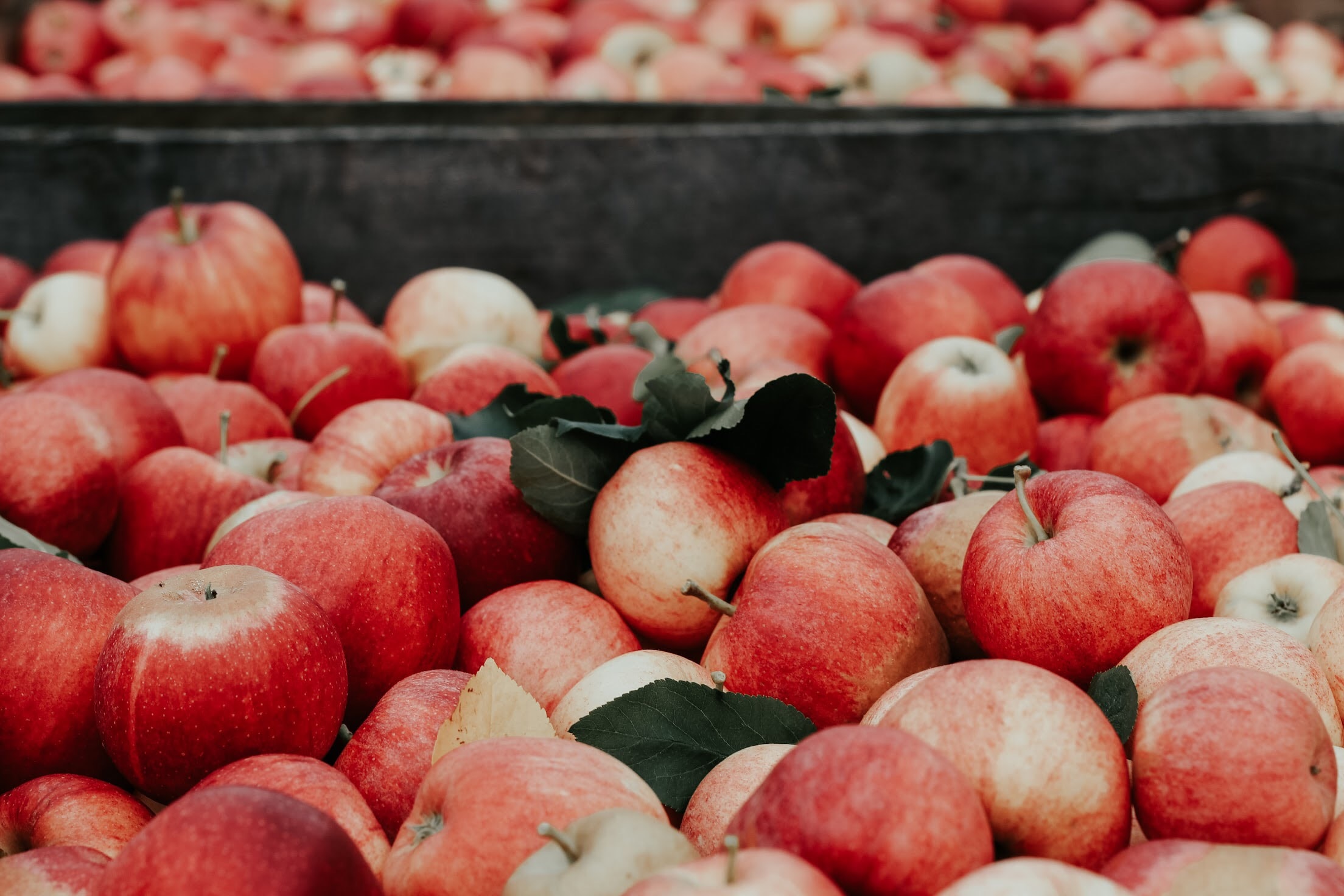 El mercat d'aliments orgànics als Estats Units