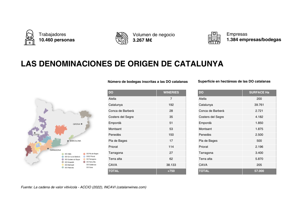 Infografia sector vi