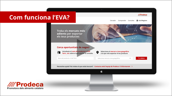 IMATGE TUTORIAL EVA