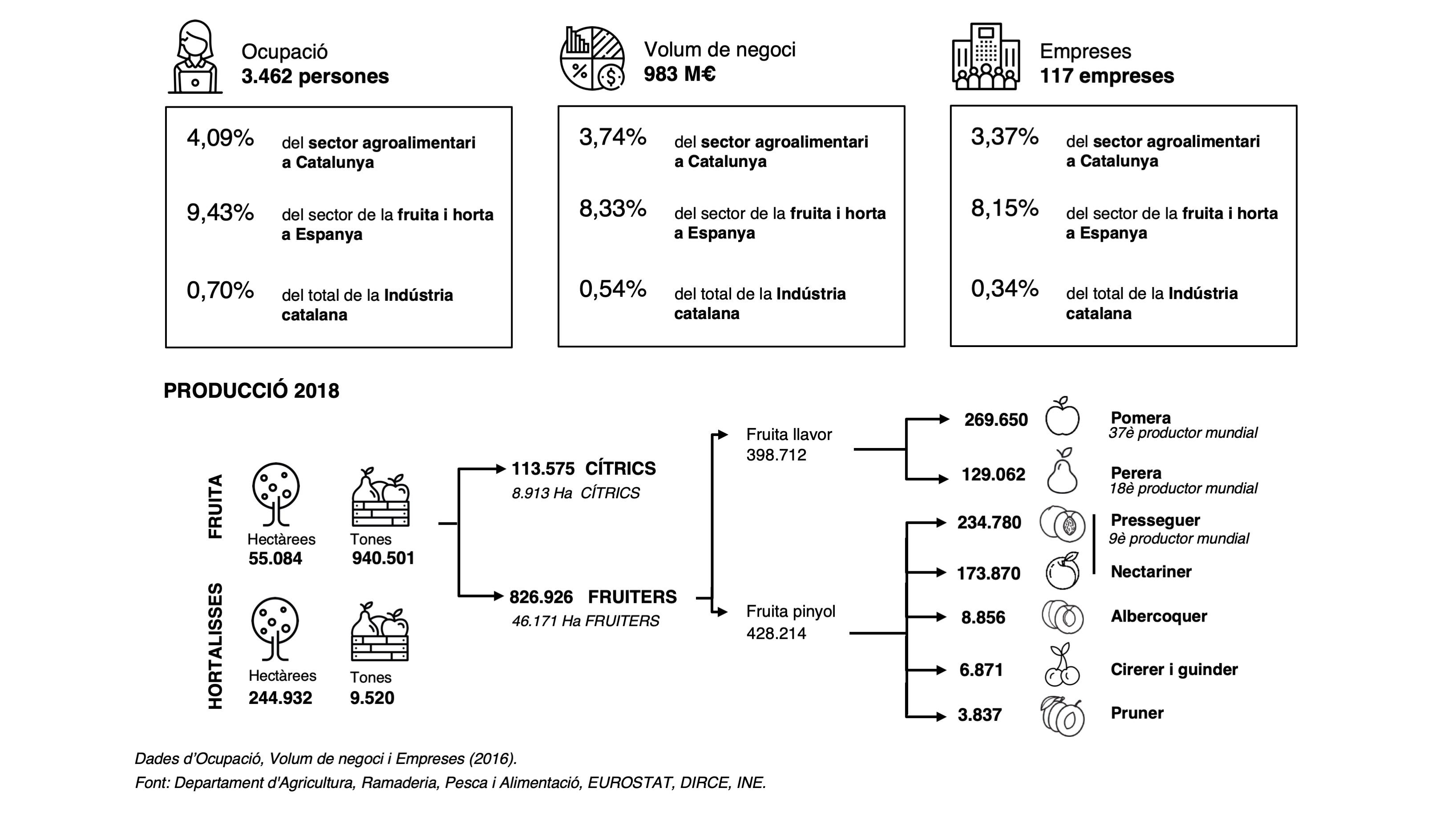 Infografia sector carn