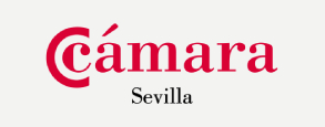 logo camara