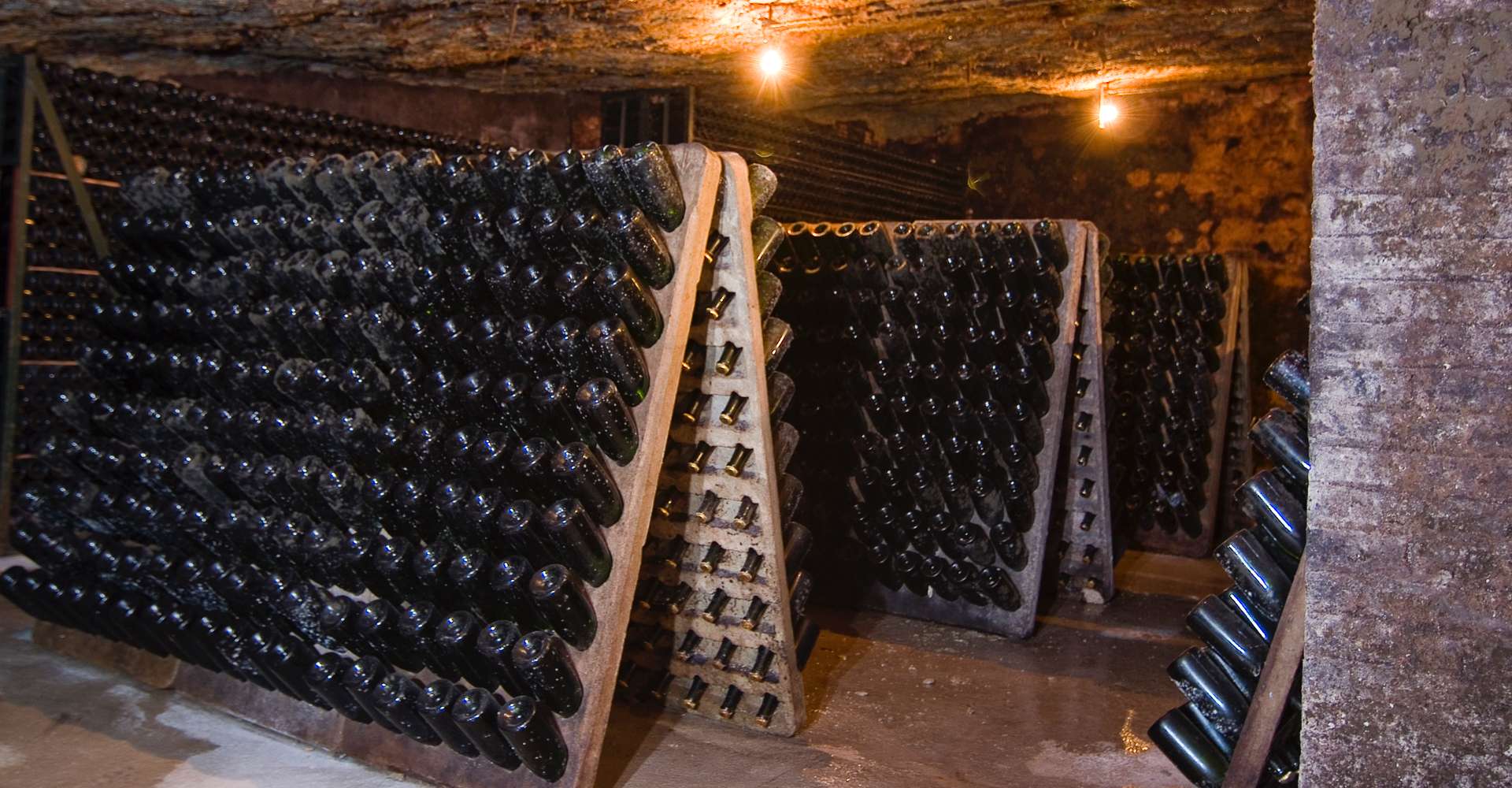 Classic Penedes