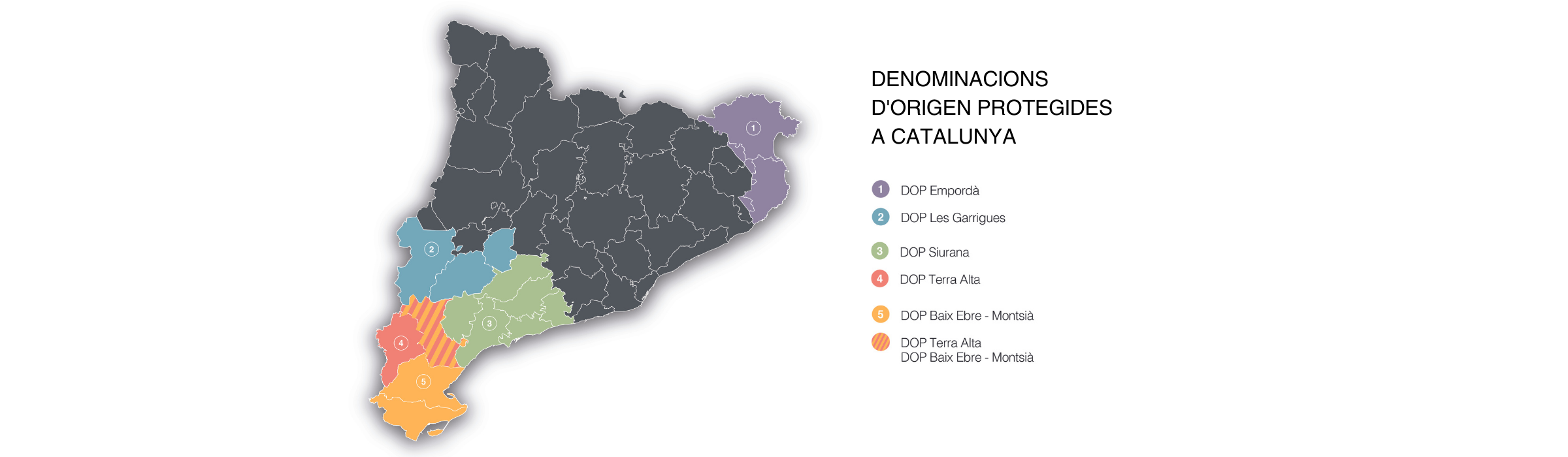 Denominacions origen oli
