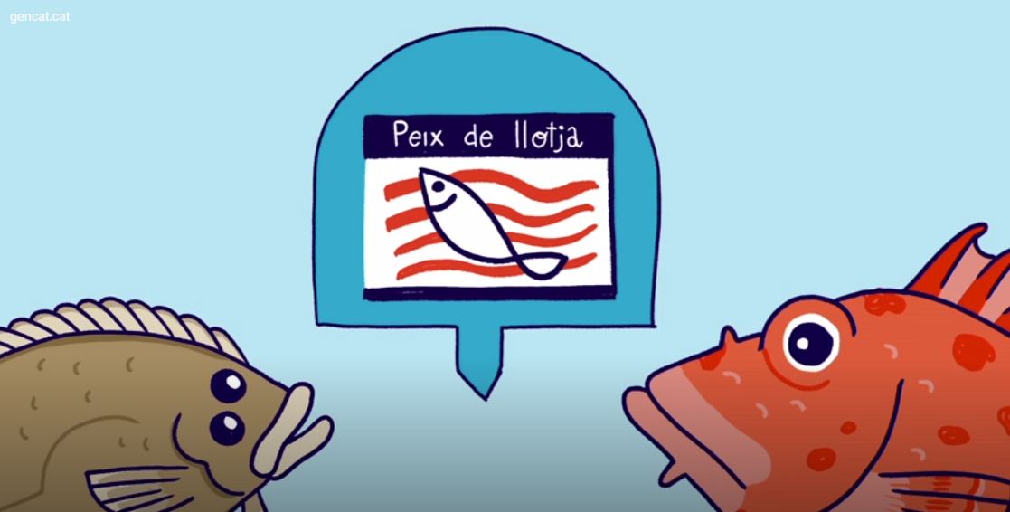 Pesca i aqüicultura