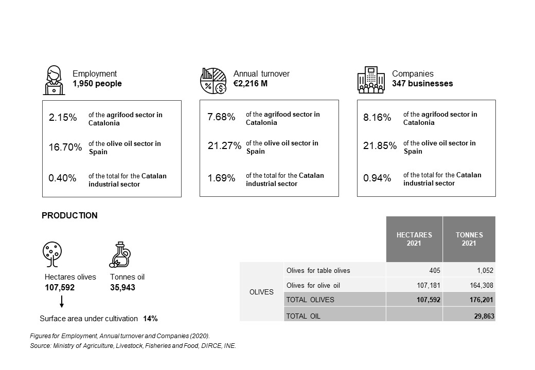Infografia sector oli ENG