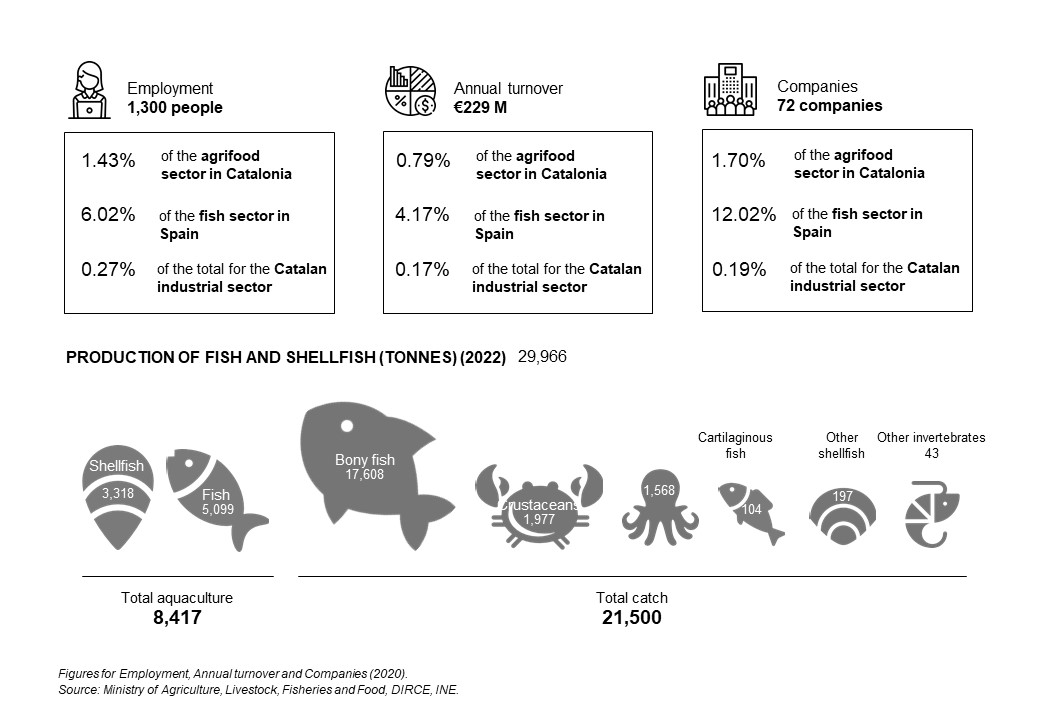 Infografia peix i marisc catalunya ENG