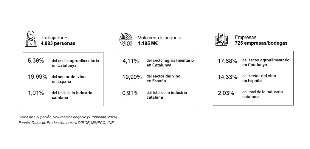 Infografia vi cast