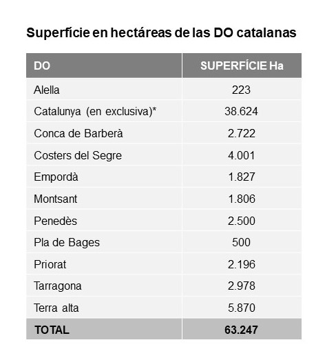 Cellers superfície DO's