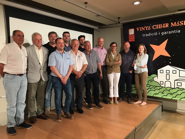 Vinya Celler Masia