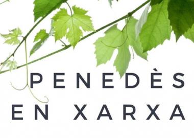 Entrevista Ramon Sentmartí a 'Penedès en Xarxa'