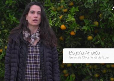 Begoña Amarós: gerent de Cítrics Terres de l'Ebre