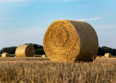Repensar el vincle rural-urbà per a la transformació del sistema alimentari