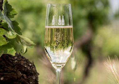 DO CAVA
