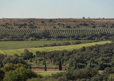 DO COSTERS DEL SEGRE