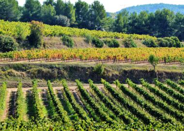 DO PENEDÈS