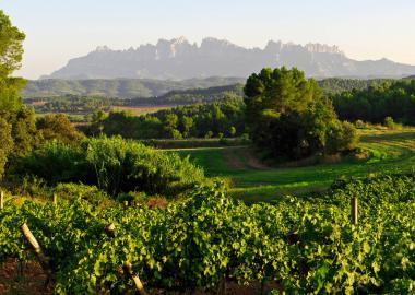 DO PLA DE BAGES