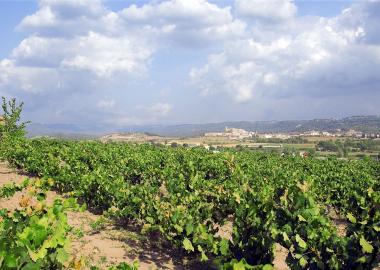 Catalunya, país de vins