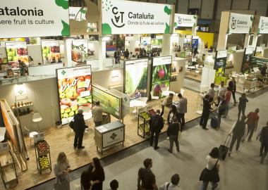 El sector hortofructícola català recupera les expectatives comercials internacionals