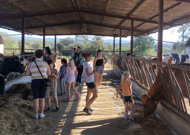 Més de 36.000 persones participen al Benvinguts a Pagès