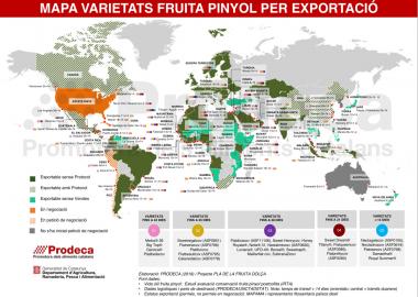 Prodeca elabora un mapa inèdit per donar resposta a les necessitats del sector en l’àmbit de les exportacions de fruita de pinyol al món