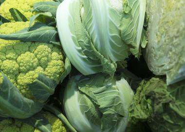 La superfície d'agricultura ecològica a Espanya