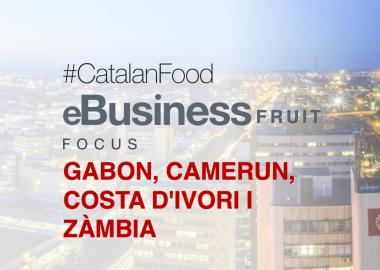 eBUSINESS FRUIT FOCUS GABON - CAMERUN - COSTA D'IVORI - ZÀMBIA