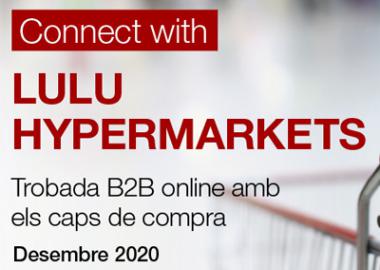 eBUSINESS WITH LULU