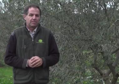 Venanci Guiu Molí de Torms