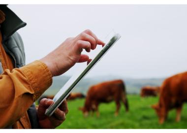 Oberta la convocatòria de la 13ª edició dels Premi Ruralapps