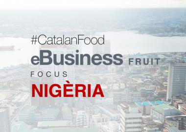 eBUSINESS FRUIT FOCUS NIGERIA