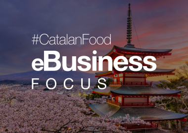 eBusiness Focus Japan