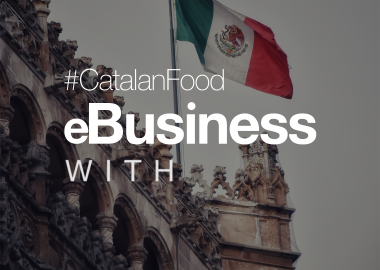 eBusiness with Eurofood (Mèxic)