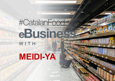 eBUSINESS WITH MEIDI-YA (JAPÓ)