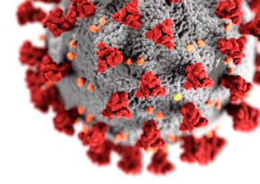 Informació sector agroalimentari Coronavirus COVID 19