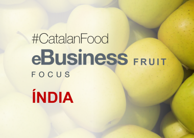 eBUSINESS FRUIT FOCUS INDIA