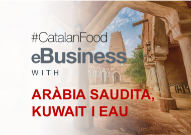 eBUSINESS WITH ARÀBIA SAUDITA, KUWAIT I EMIRATS ÀRABS