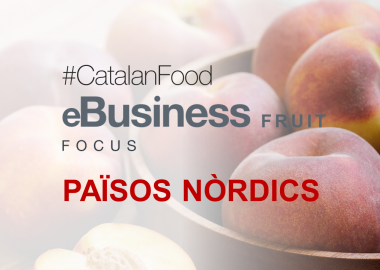 eBUSINESS FRUIT FOCUS PAÏSOS NÒRDICS