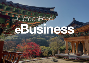 eBUSINESS WITH BGF RETAIL (COREA DEL SUD)