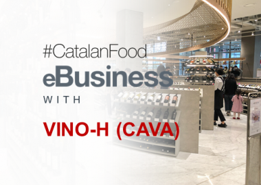 eBUSINESS WITH VINO-H (COREA DEL SUD) - CAVA