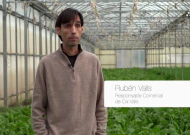Ruben Valls - Cal Valls