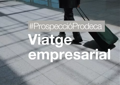 viatge empresarial
